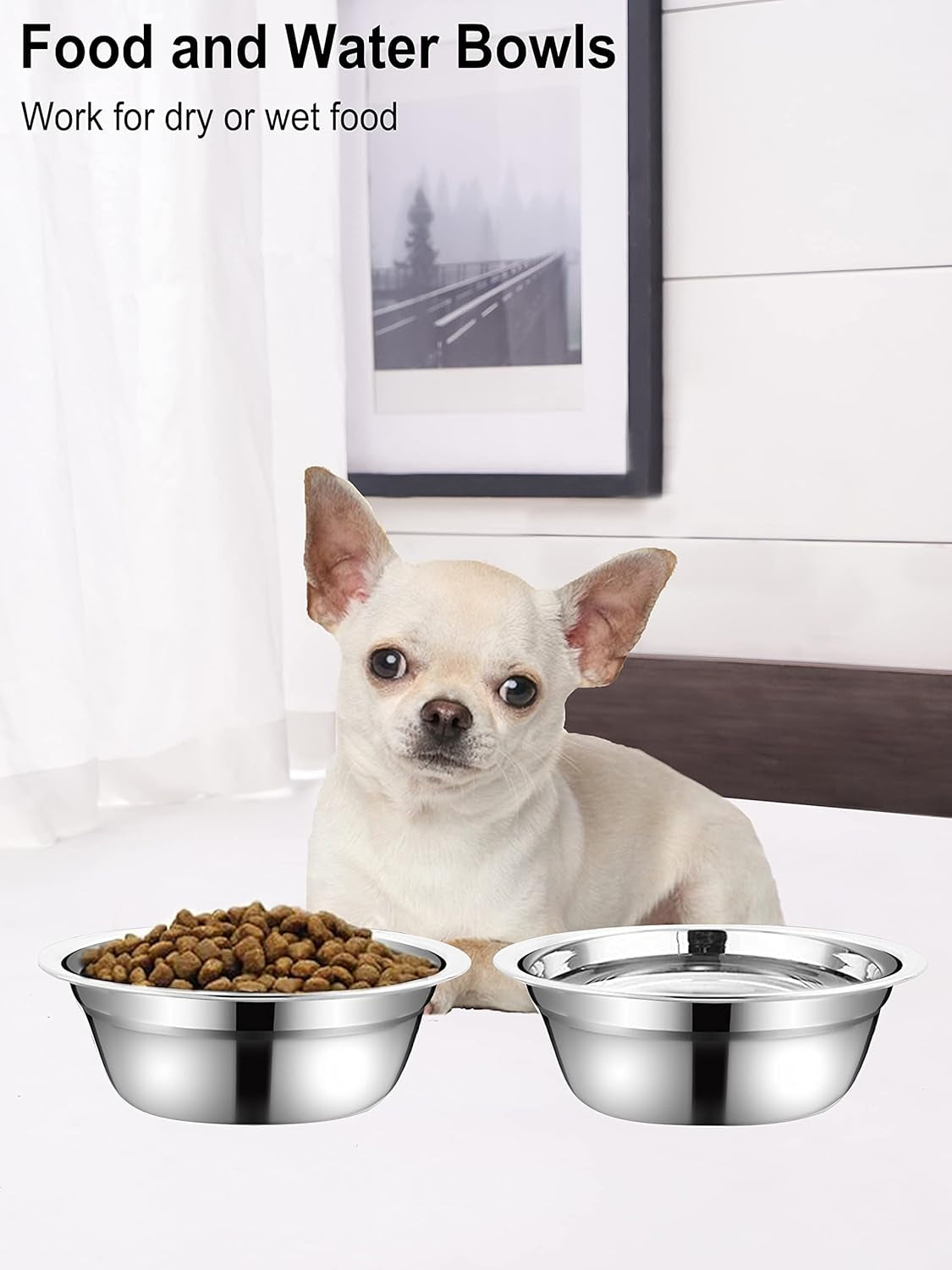 Stainless Steel Small Dog Food Bowls - Set of 2 (5.4 in Outer Diameter, 1.3 Cup Capacity) for Raised Feeding Stations